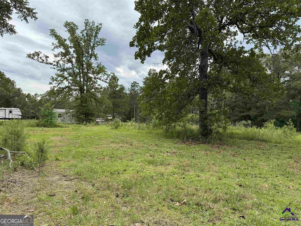 Property Photo: 118 Happy Lane GA 31008