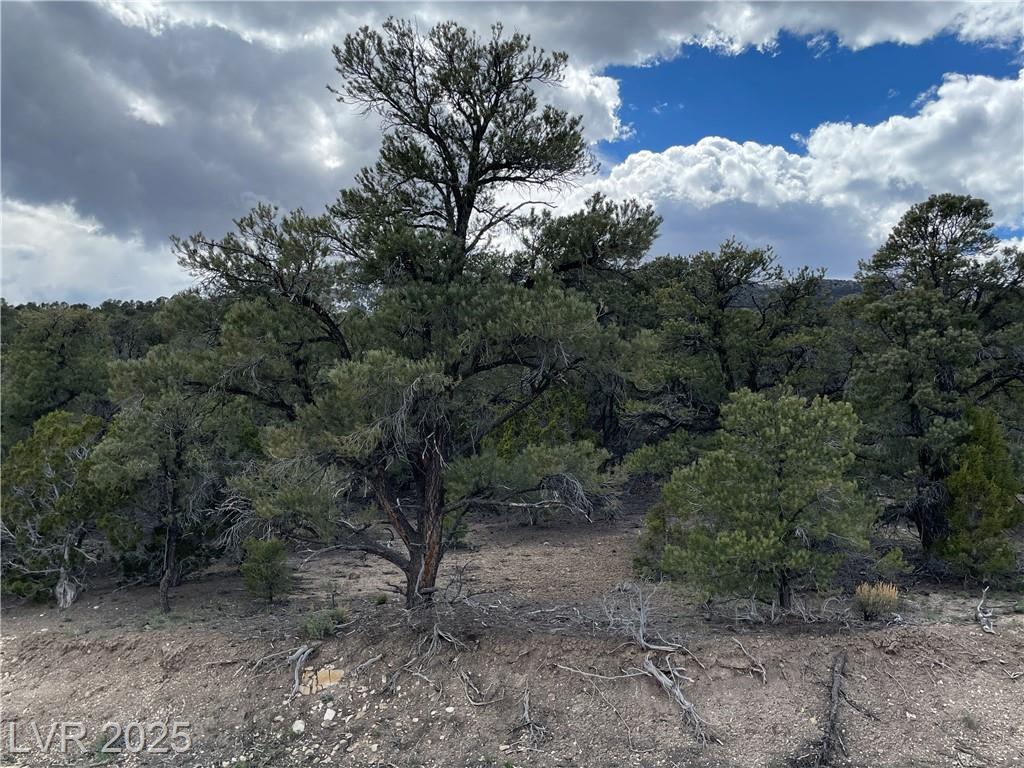 Property Photo: 175 East Ward Mountain Drive NV 89301
