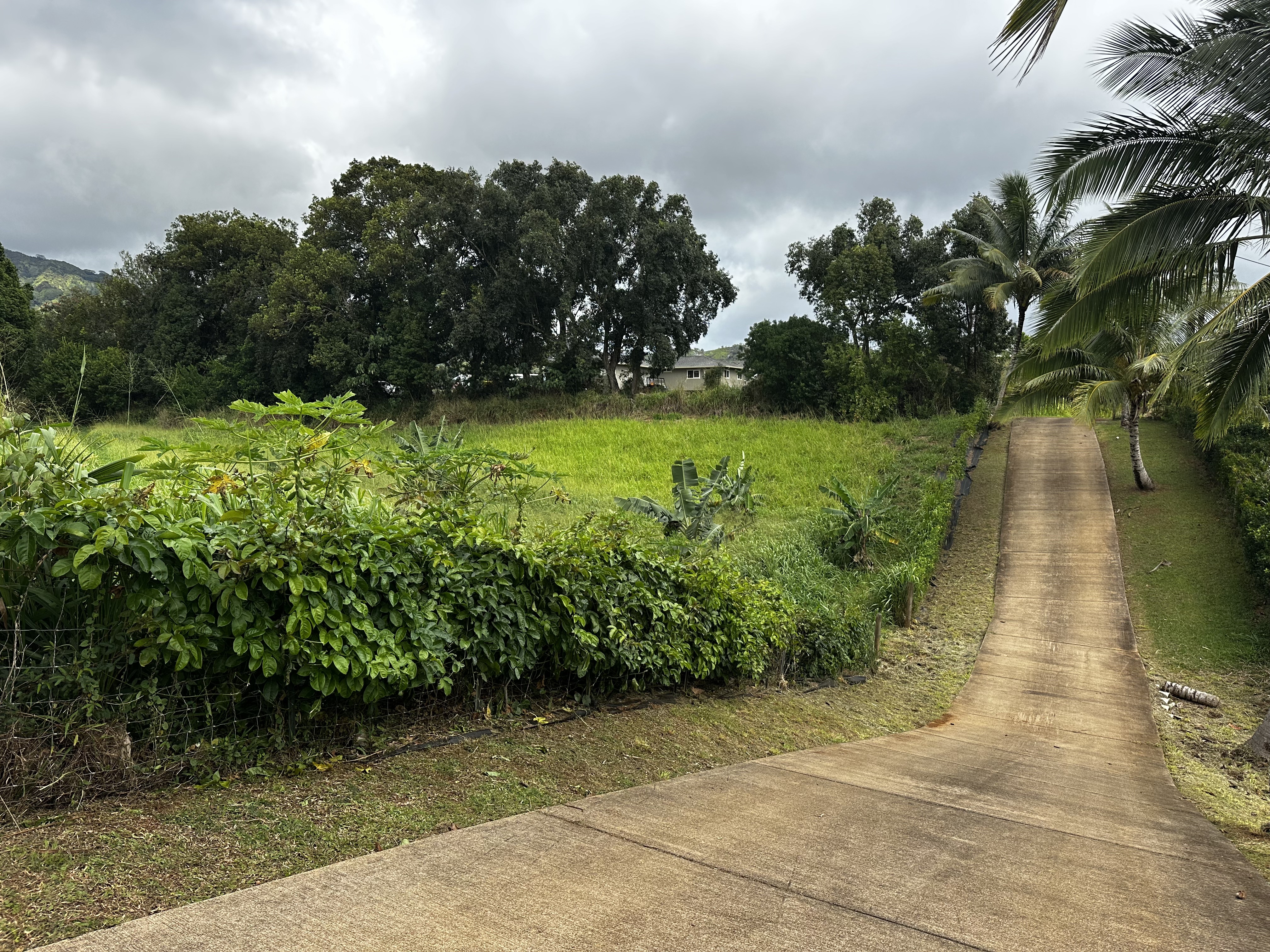Property Photo: 6469-L Kawaihau Rd HI 96746