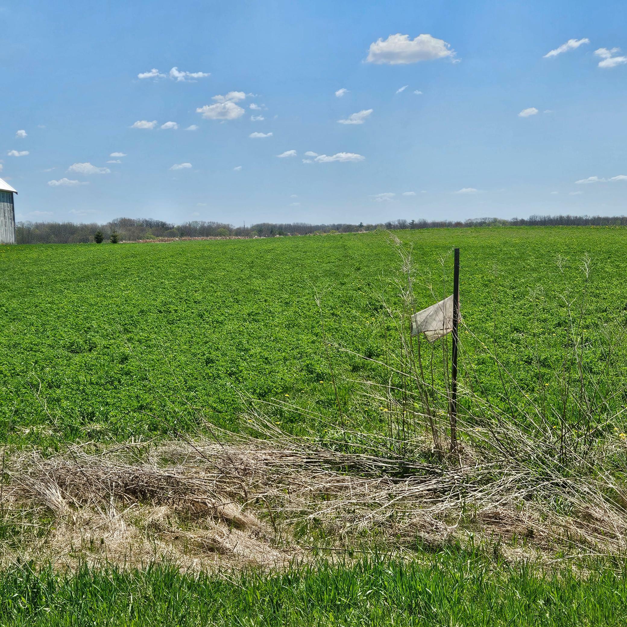 Property Photo: Tbd 870th Avenue WI 54767