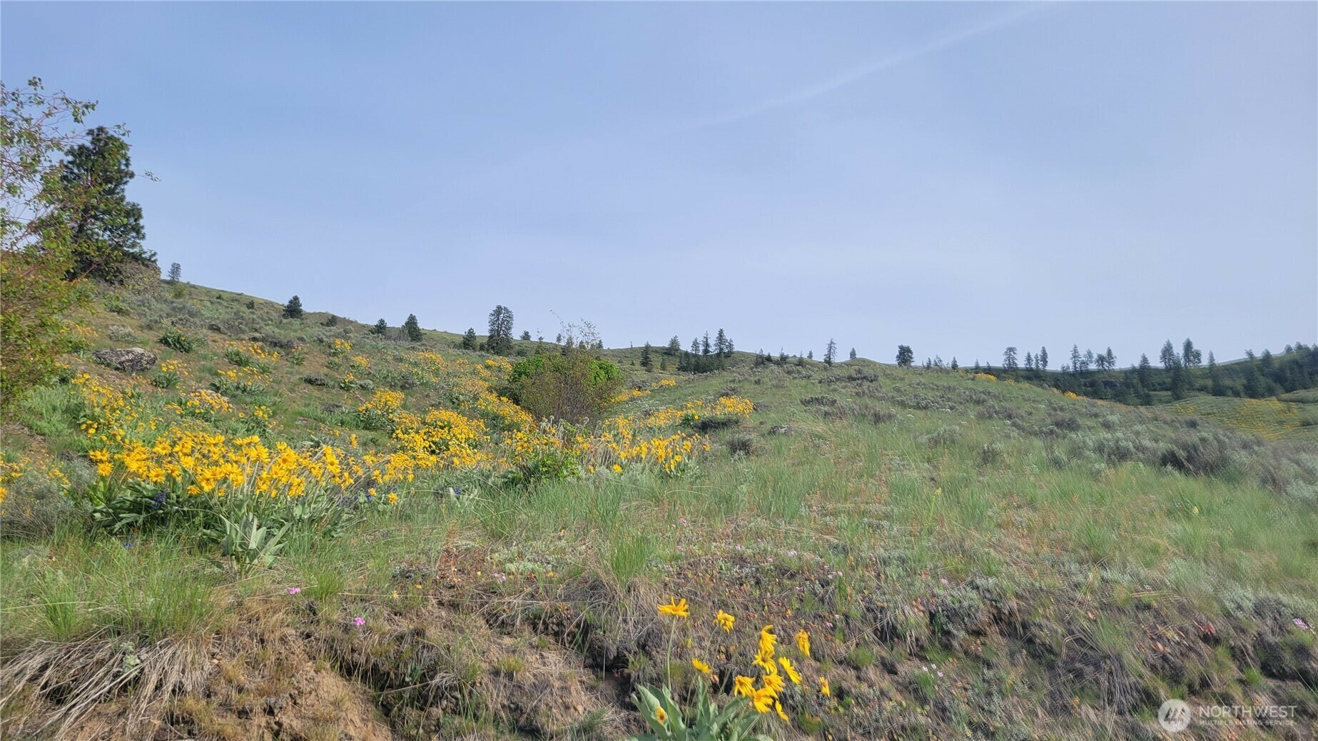 Property Photo: 0 Coyote'S Curve Road WA 98843