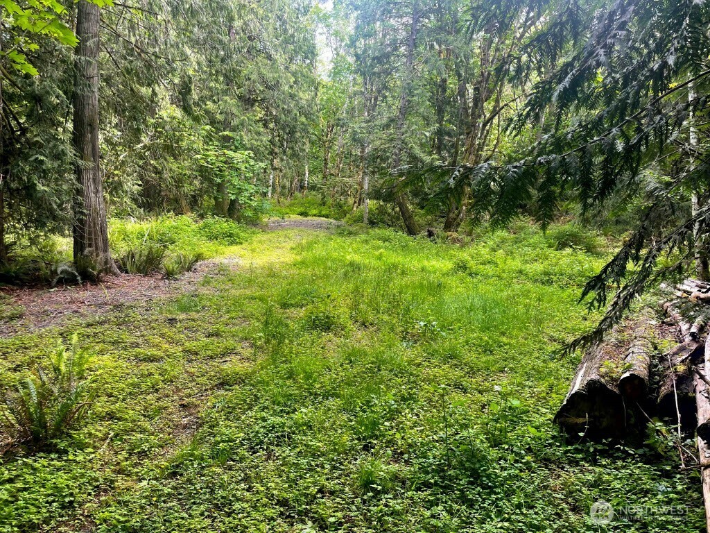 Property Photo: 293 Zion View Lane WA 98376