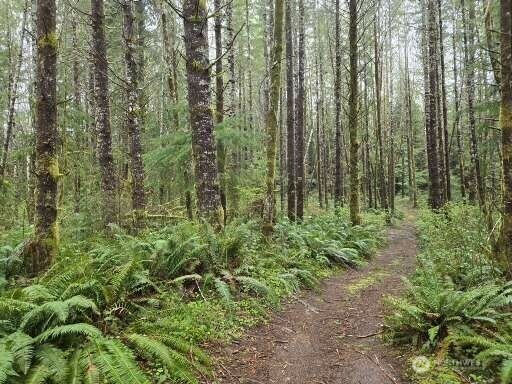 Property Photo: 0 End Of Greenwood Road WA 98550