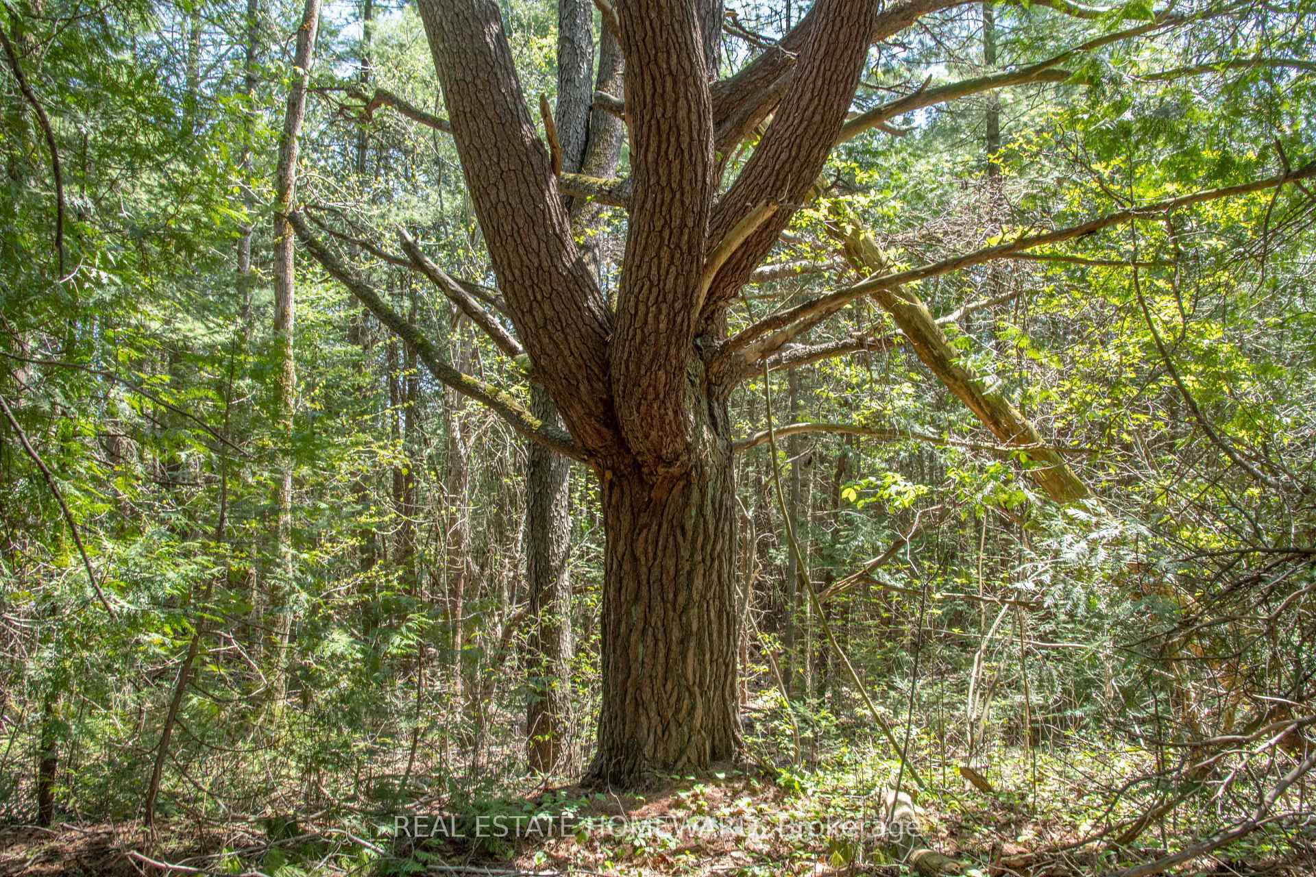 Property Photo:  P/L35 Con 5 Bull Road  ON K0K 1C0 