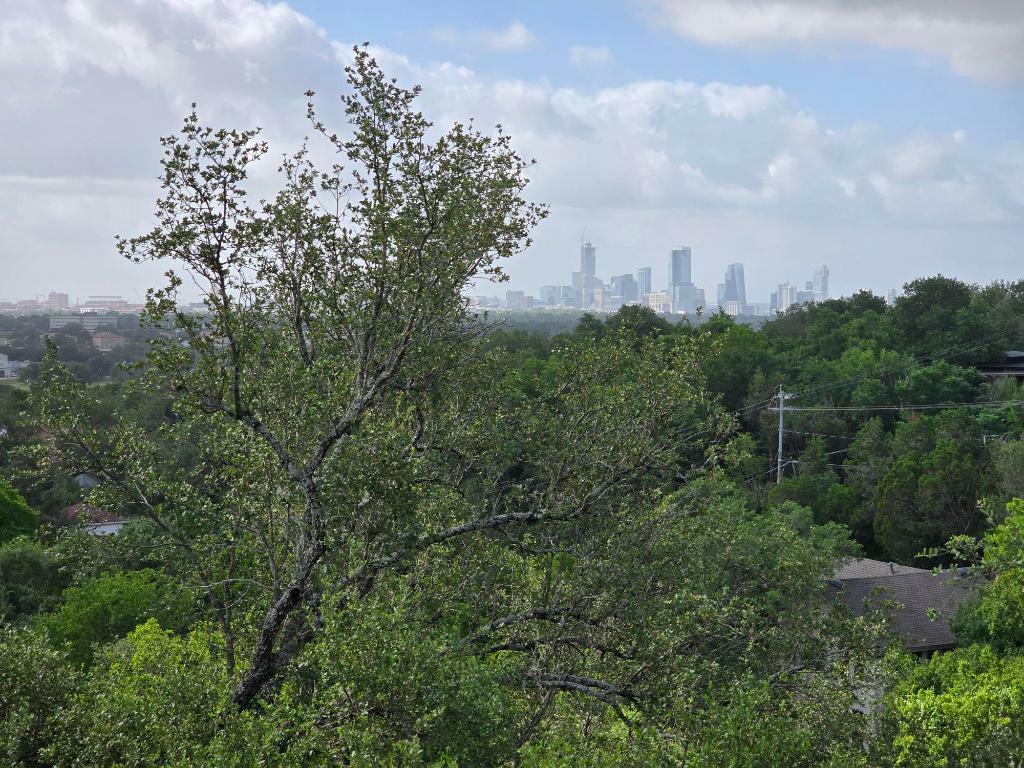 3403 Spanish Oak Drive  Austin TX 78731 photo