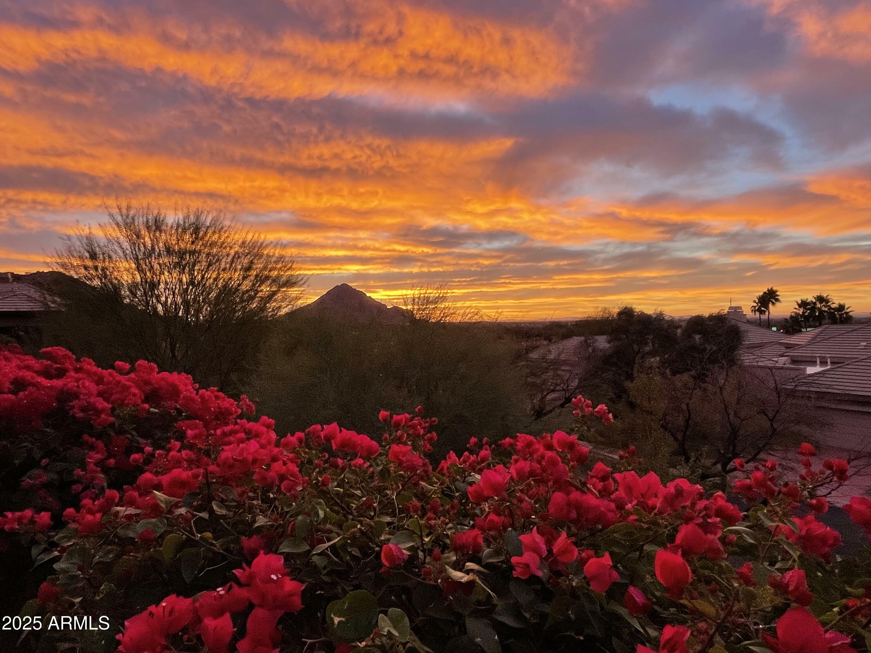 Property Photo: 6512 N 31st Way AZ 85016