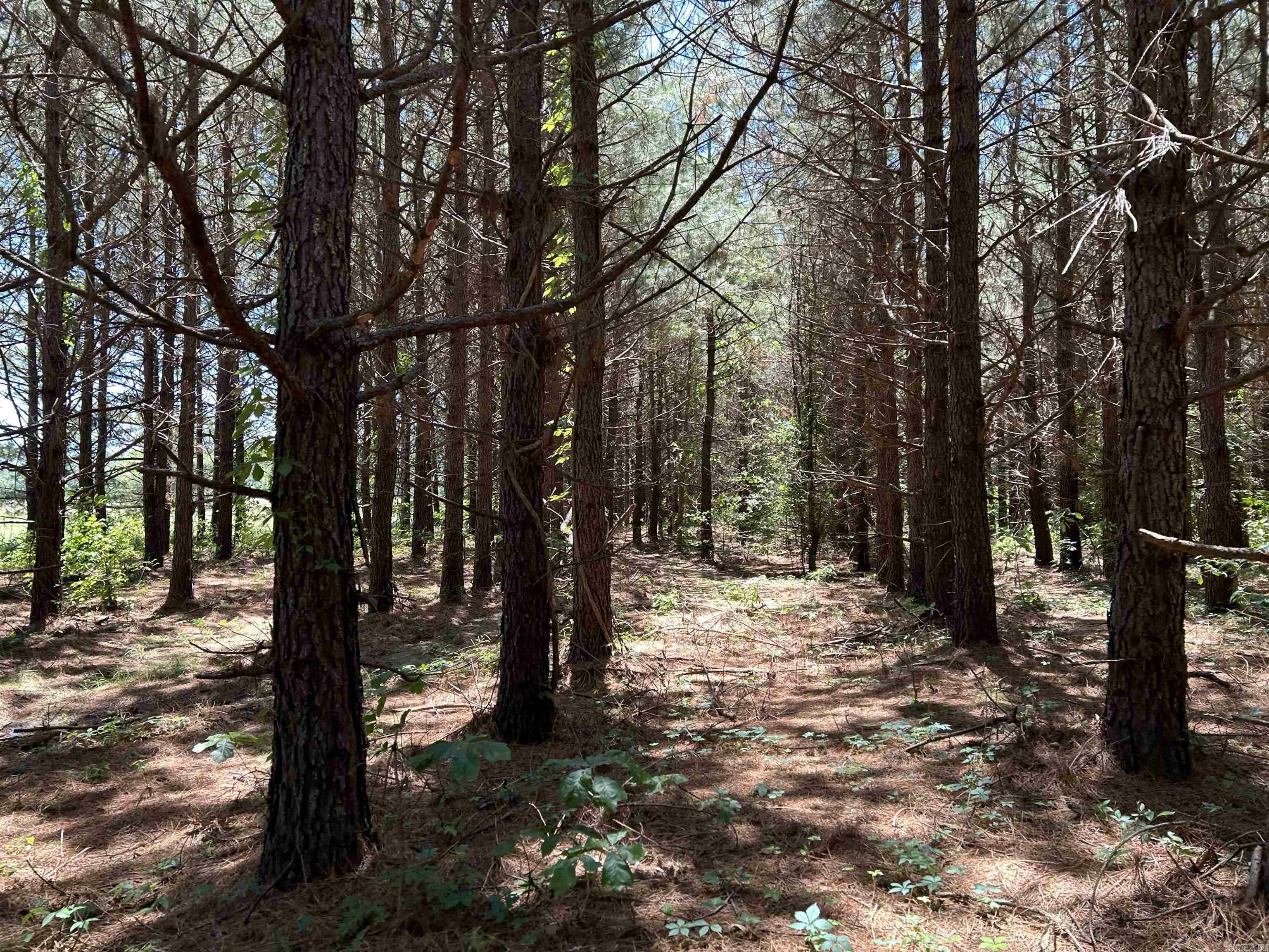 Property Photo: