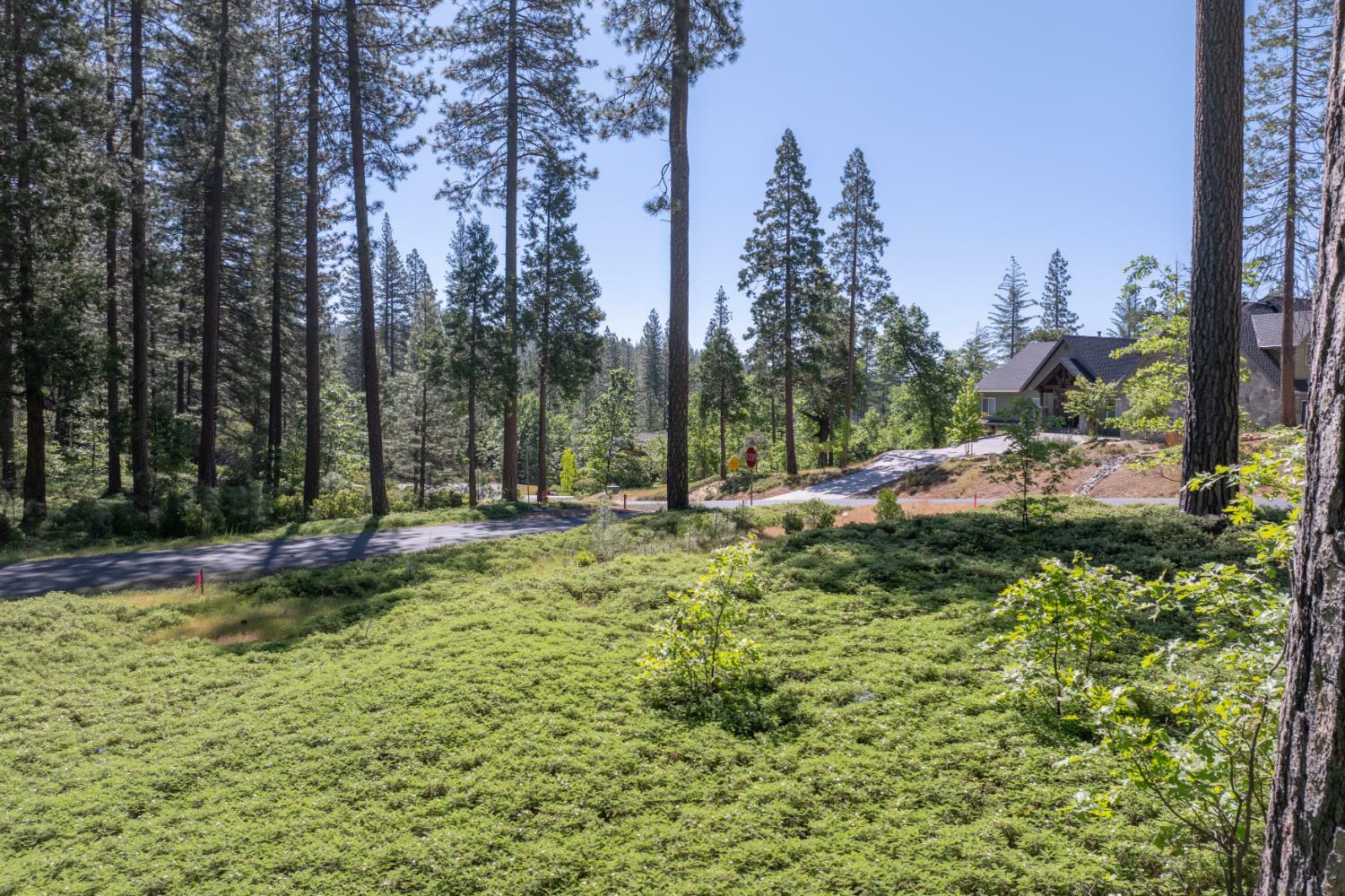 Property Photo: 0 Vireo Way CA 95224