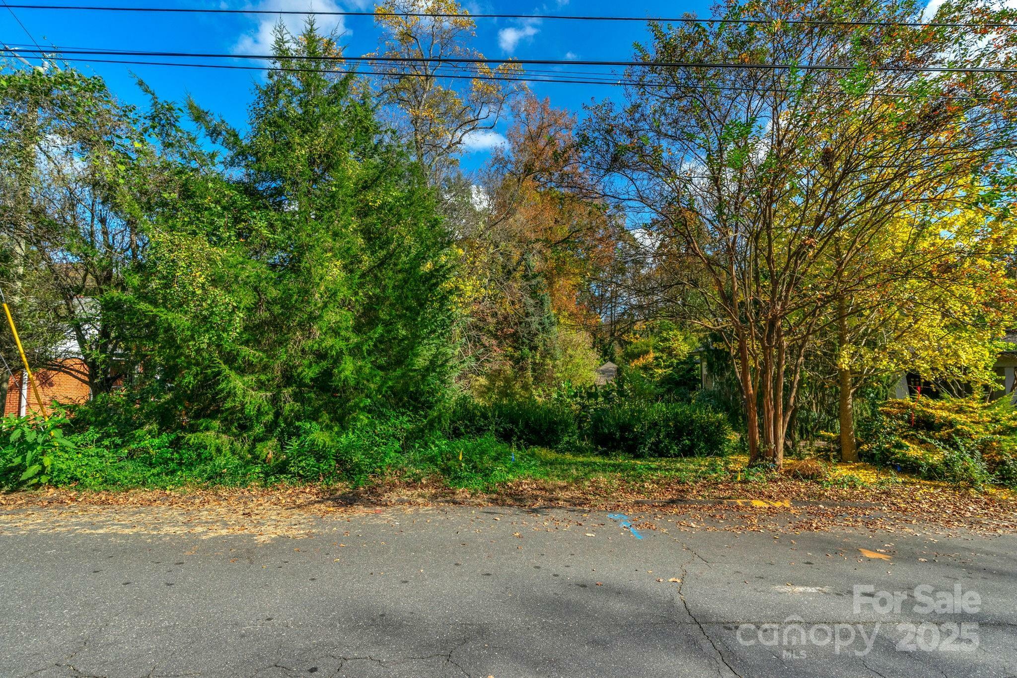 Property Photo: 3125 Fairfax Drive NC 28209