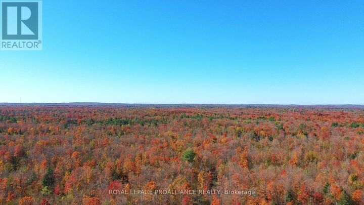Photo de la propriété: 812 Cleveland Road ON K0K 1Y0