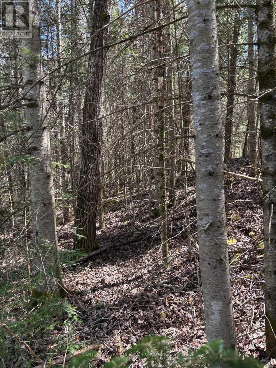 Photo de la propriété:  01 Monck Road  ON K0L 1C0 