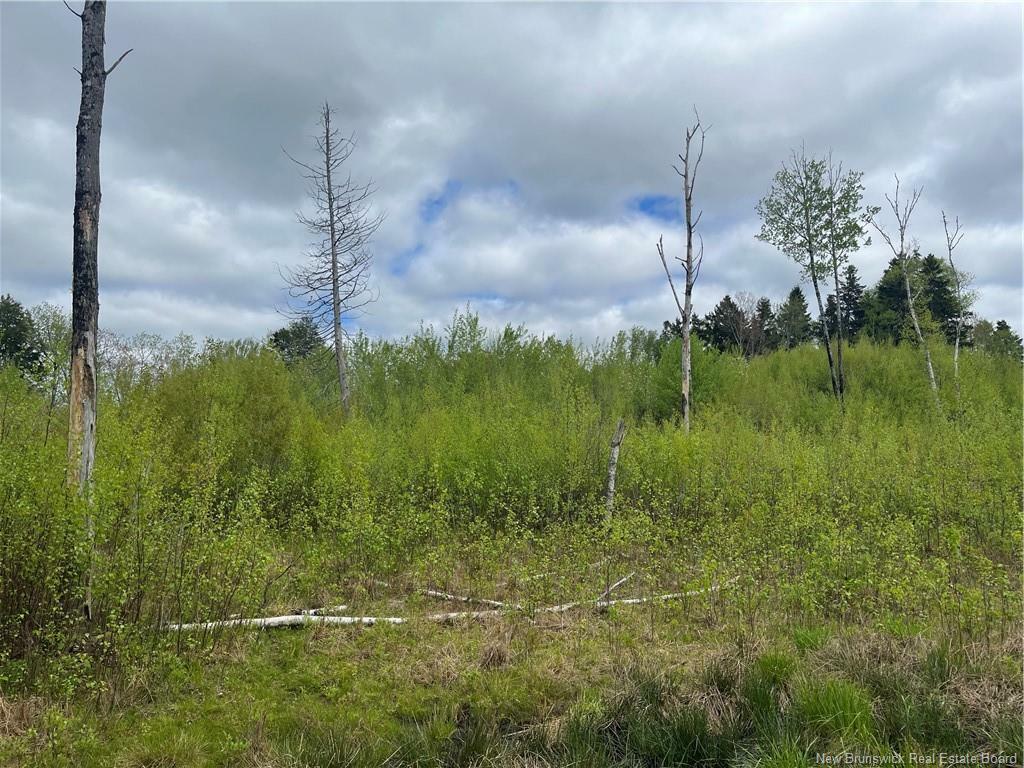 Property Photo:  96 Hilltop Drive  NB E5N 5P2 