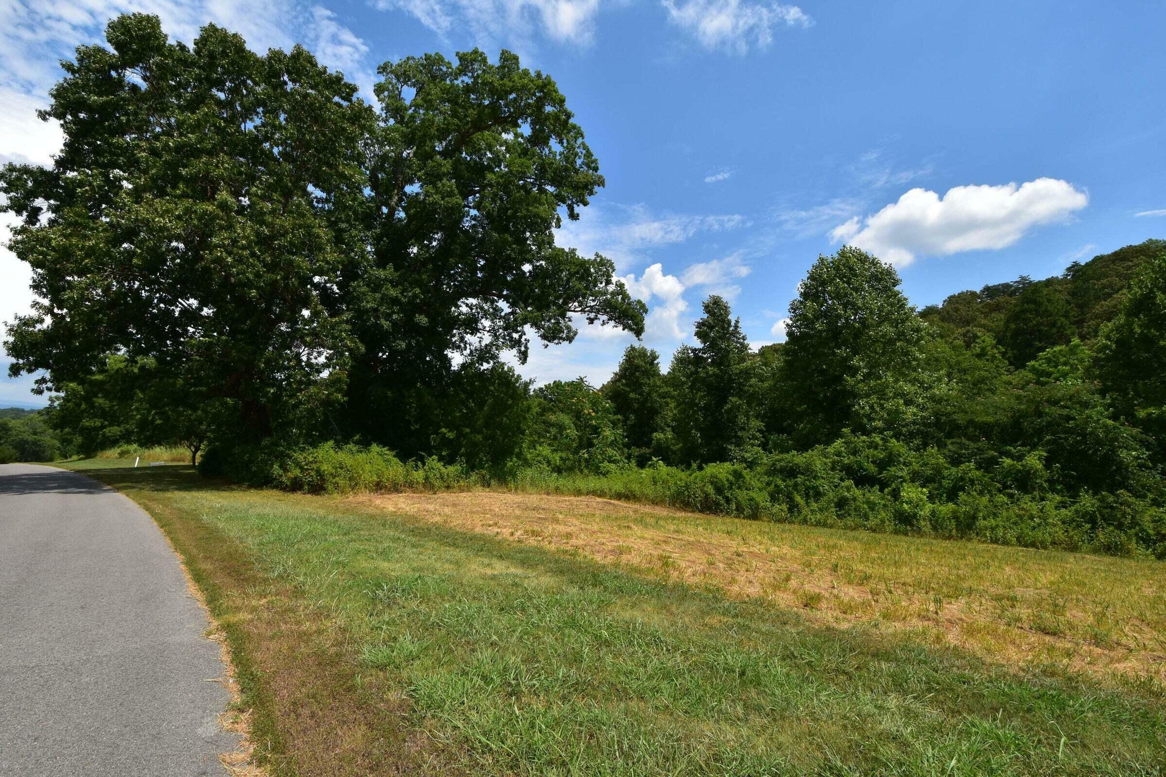 Property Photo: 00 Espalier Drive TN 37322
