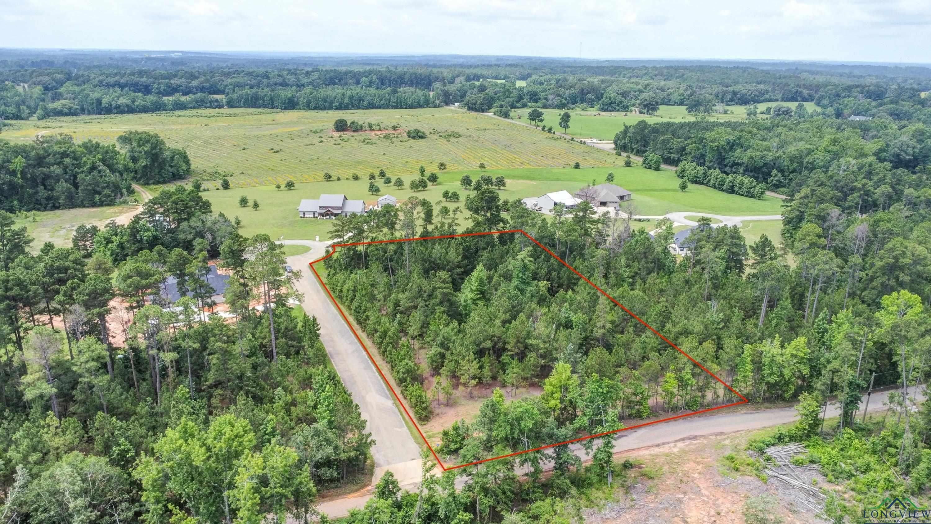 Property Photo: Lot 4 Blk 2 Loblolly Ln TX 75654