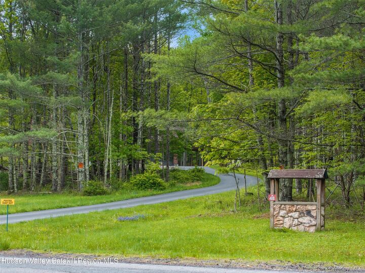Property Photo:  48 Deer Park Road  NY 12473 
