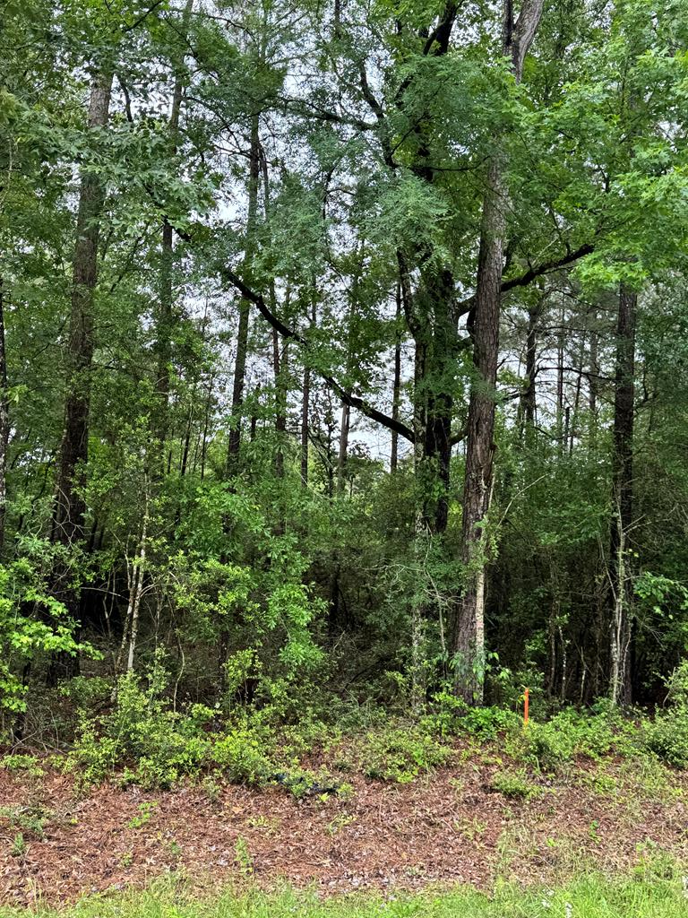 Property Photo: 1945 Fm 353 TX 75972
