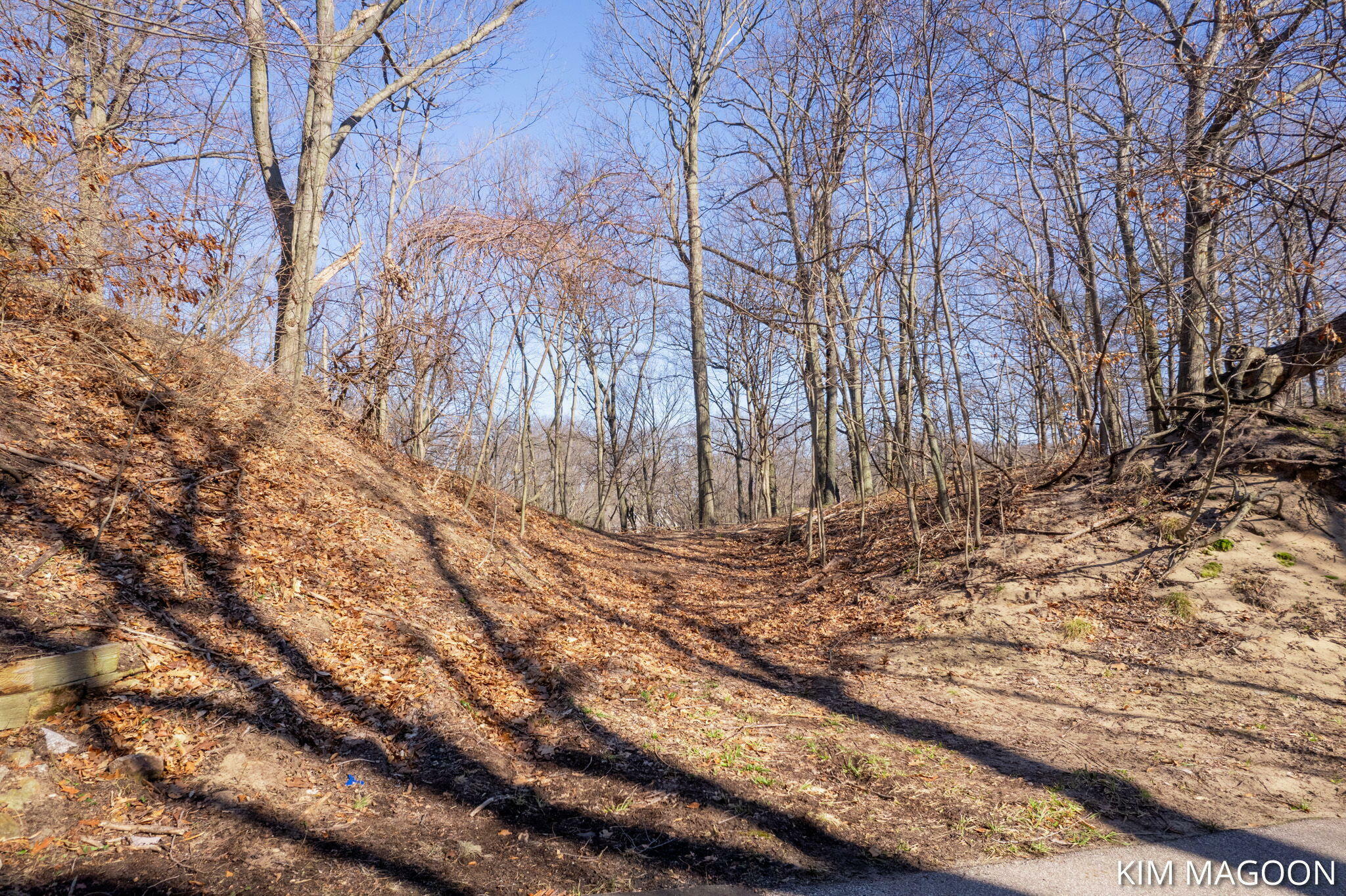 Property Photo: Lot 45 Valleywood Court MI 49423