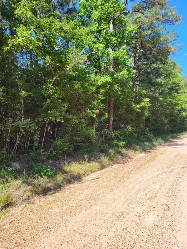 Property Photo:  L73641 Blair Road  TX 75939 