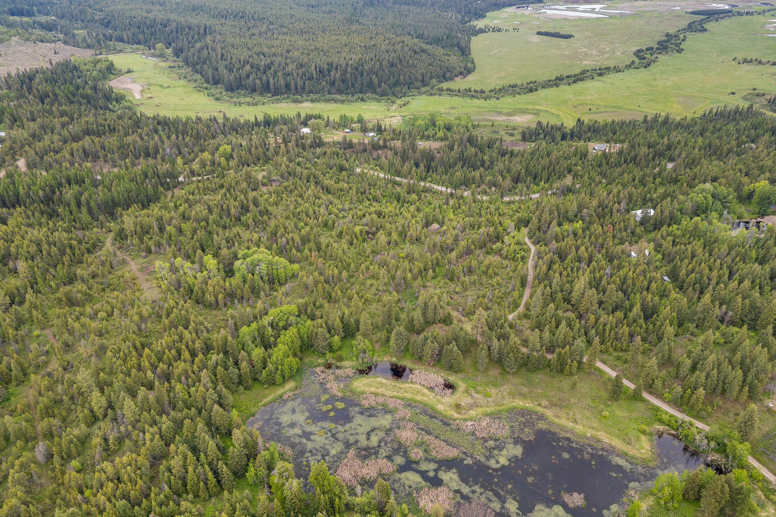Property Photo: Lot 1 Hesseltine Rd WA 99181