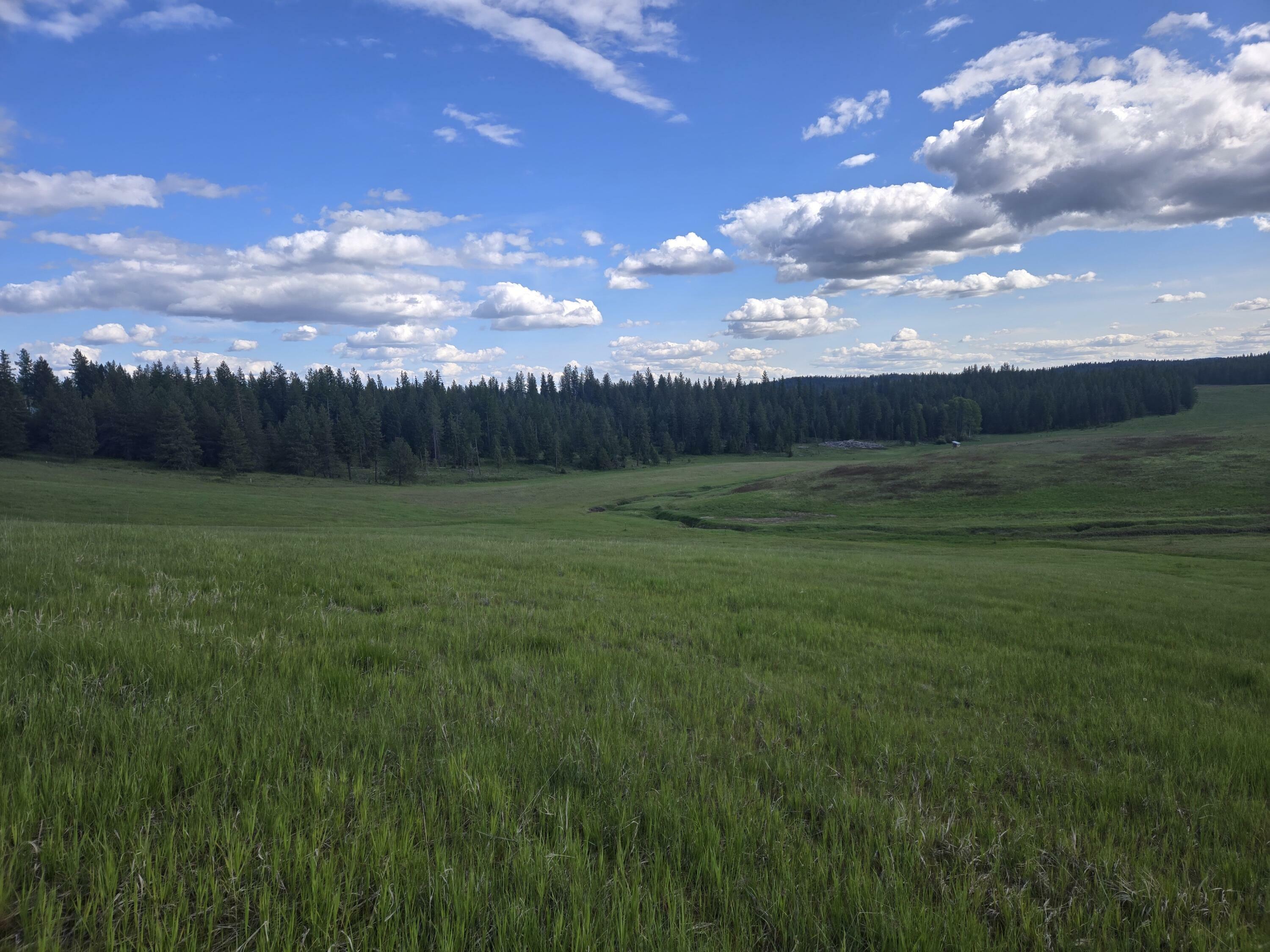 Property Photo: 5266 Wagner Rd WA 99173