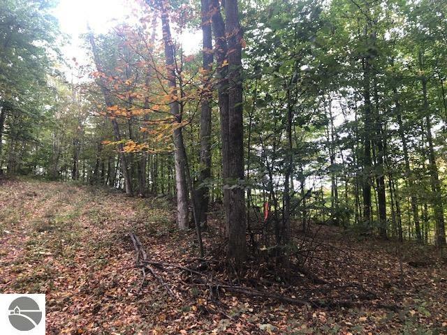 Parcel B Mariah Lane  Northport MI 49670 photo