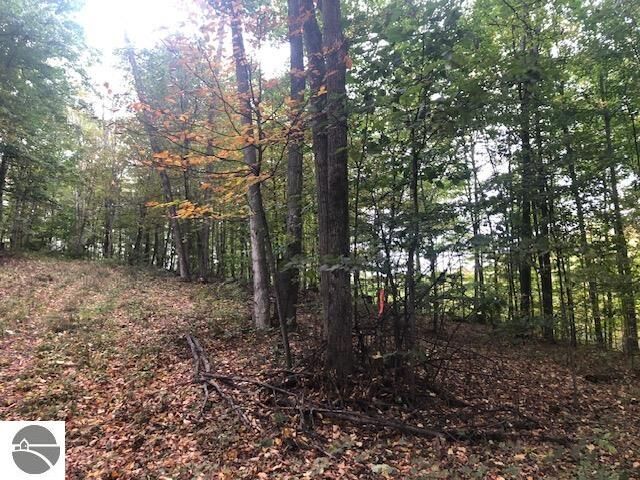 Parcel B Mariah Lane  Northport MI 49670 photo