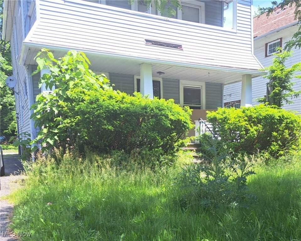 Property Photo: 11813 Soika Avenue OH 44120