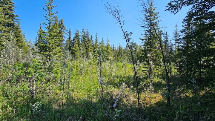 Property Photo: 34364 Range Road 42 4 AB T0M 1X0
