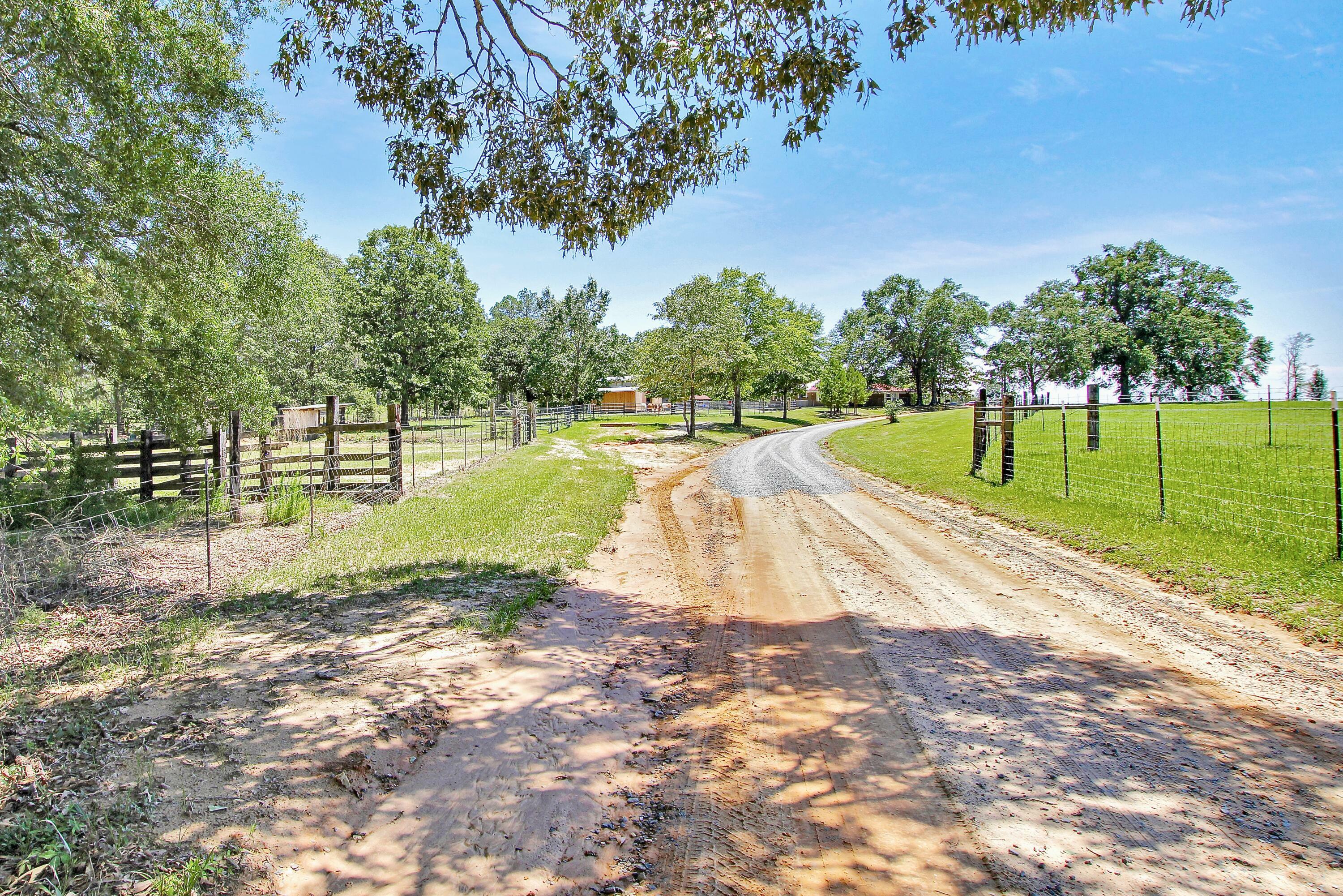 Property Photo:  294 Conover-Martin Loop  LA 71439 