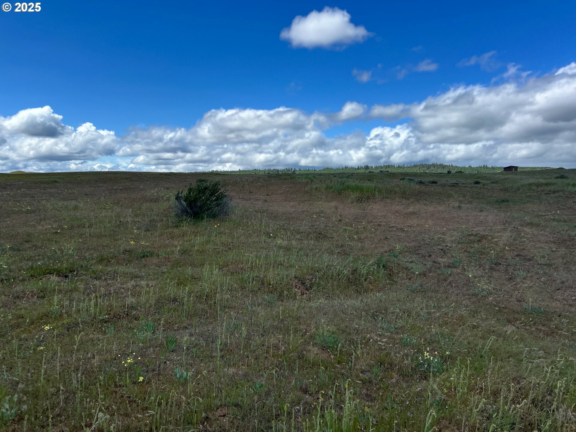 Coco Ln  Goldendale WA 98620 photo