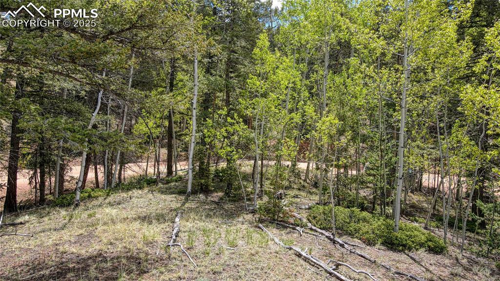 Property Photo: 1058 Bennett Drive CO 80813
