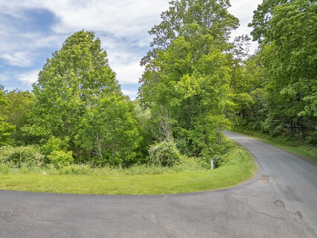 Property Photo: Lot 18 Thistle Trl VA 24343