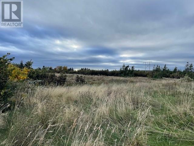 Photo de la propriété:  Lot 5 McIsaac'S Lane  NL A0N 1T0 