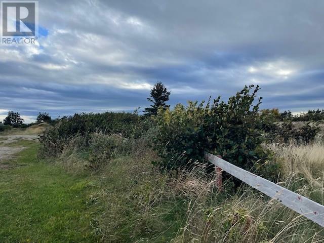 Photo de la propriété:  Lot 3 McIsaac'S Lane  NL A0N 1T0 