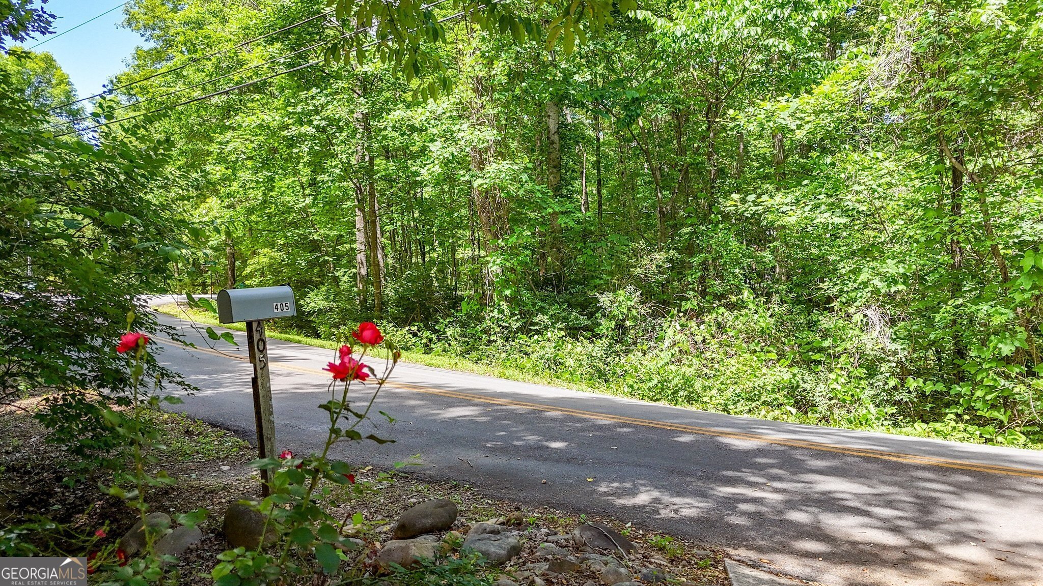 Property Photo:  405 Scenic View Drive  GA 30143 