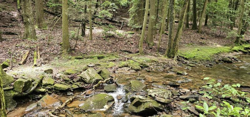 Property Photo: 0 Oak Leaf Lane TN 37327
