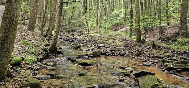 Property Photo: 0 Oak Leaf Lane TN 37327