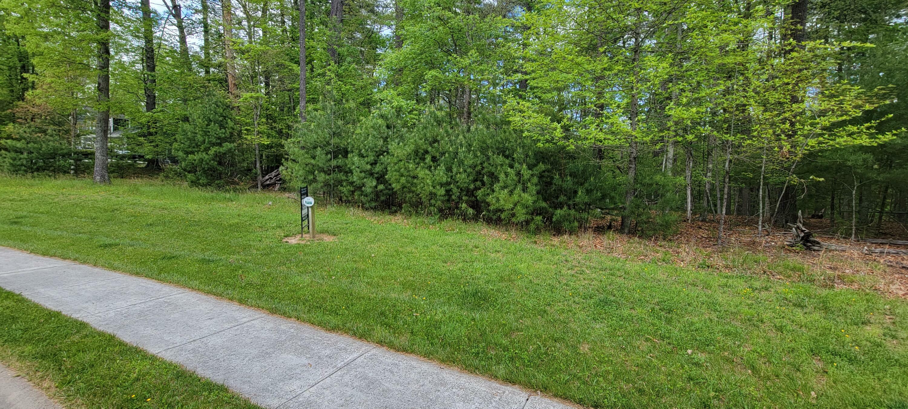 Property Photo: Lot 9 Brookside Dr WV 24901