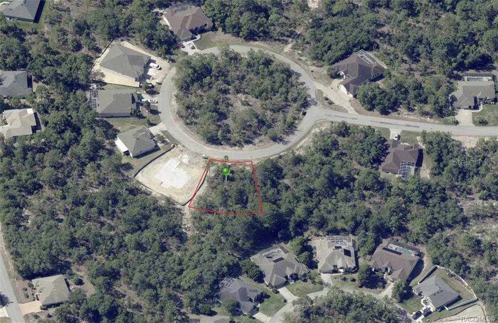 Property Photo: 19 Rudbeckia Court FL 34446