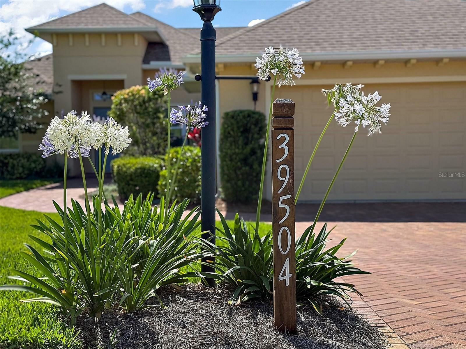 Property Photo:  39504 Hillrise Lane  FL 32159 