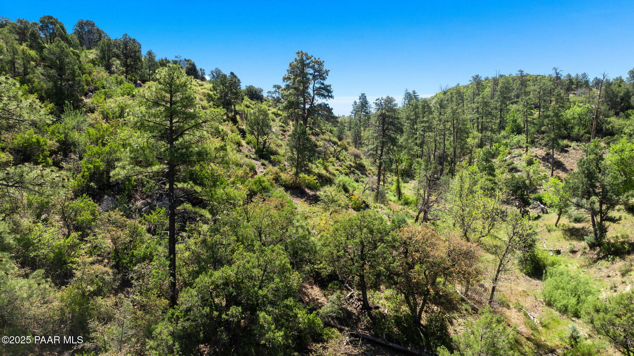 Property Photo: 1751 W Wilderness Trail AZ 86303