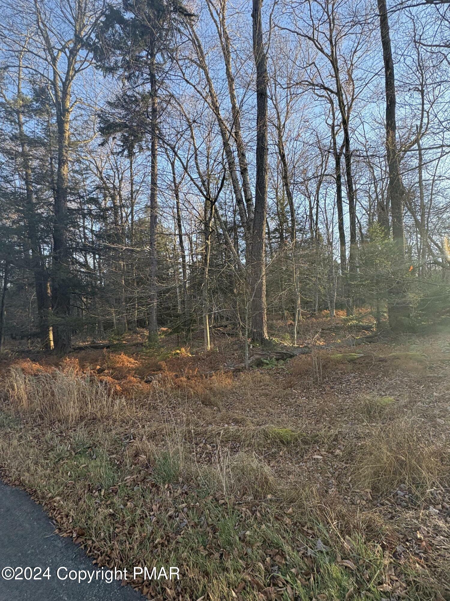 Property Photo: 199 Navajo Trail PA 18424