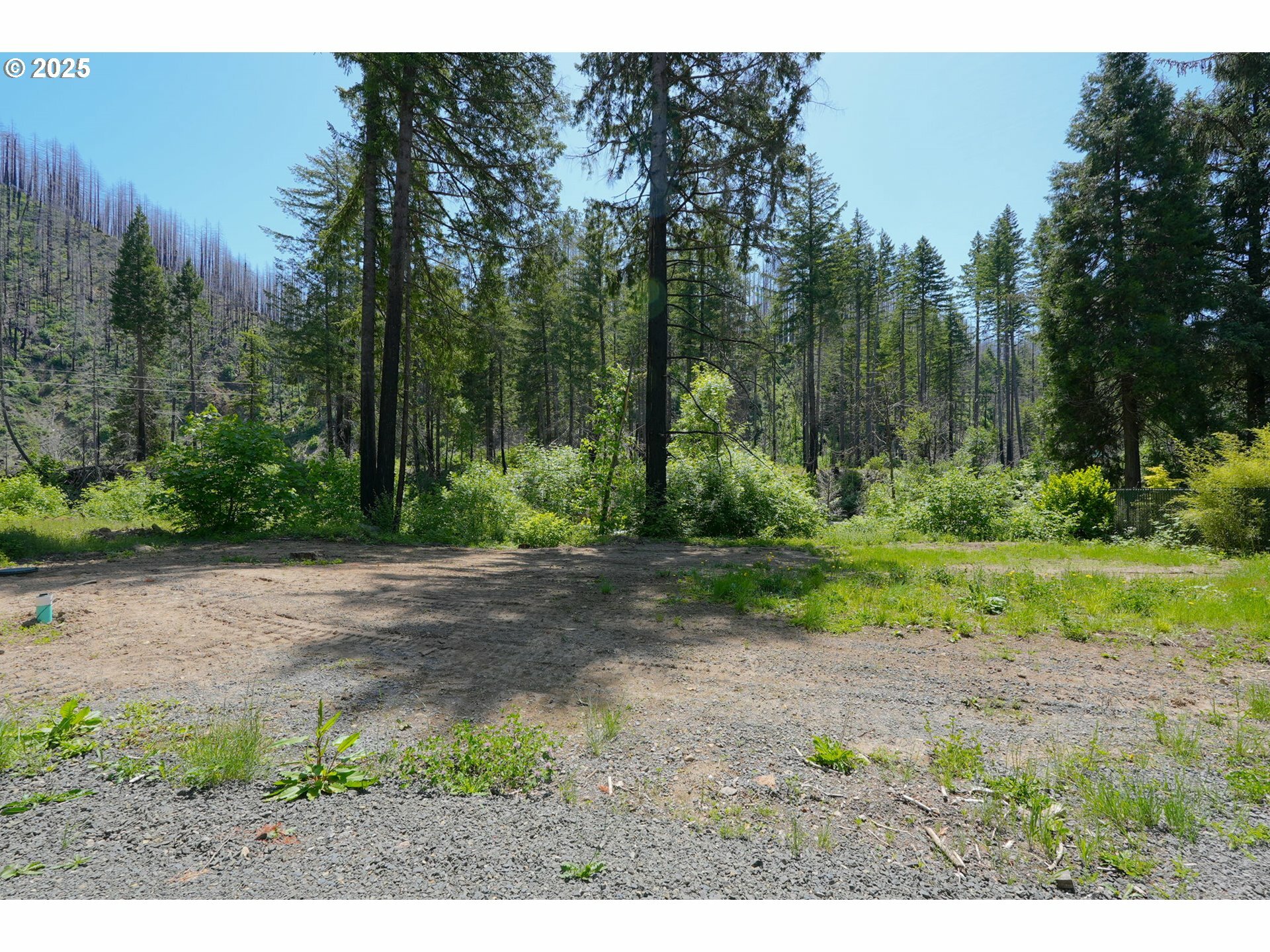 Property Photo: 91303 Blue River Rd OR 97413