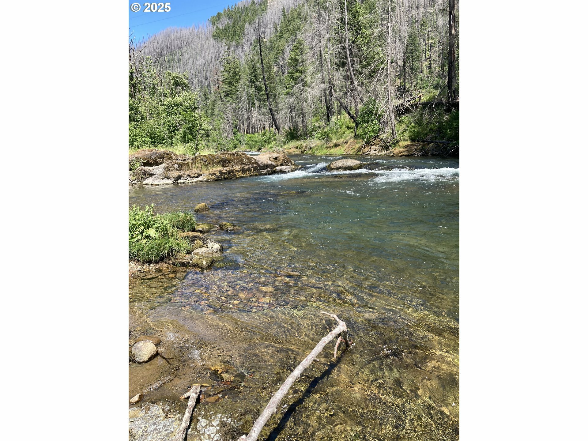 Property Photo: 91303 Blue River Rd OR 97413