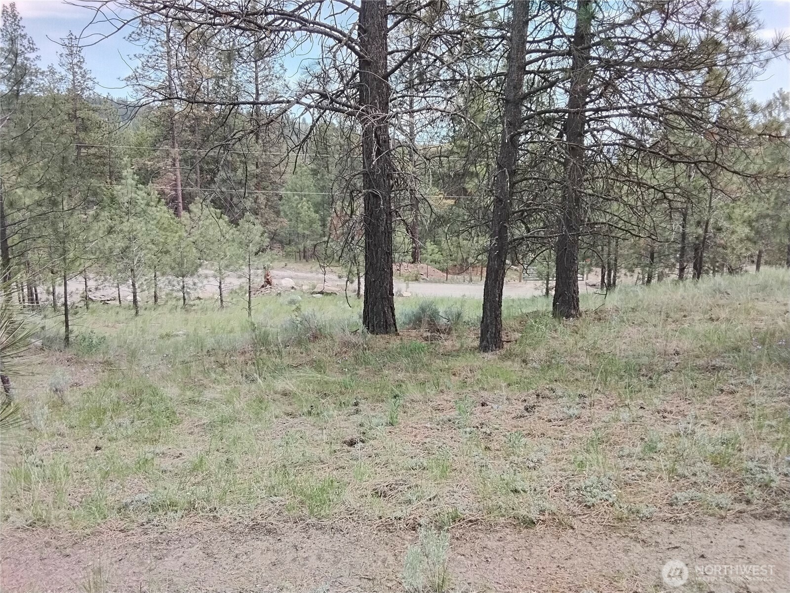 Property Photo: 0 Cape Labelle Road WA 98855