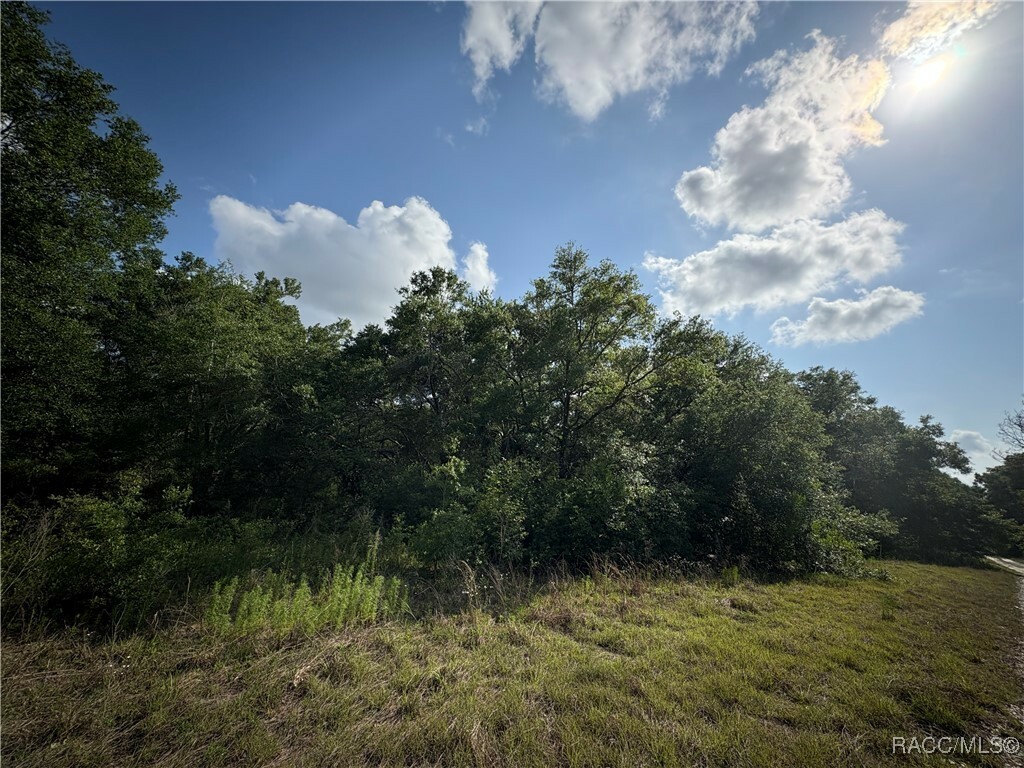 Property Photo: 2813 Van Buren Street W FL 34453