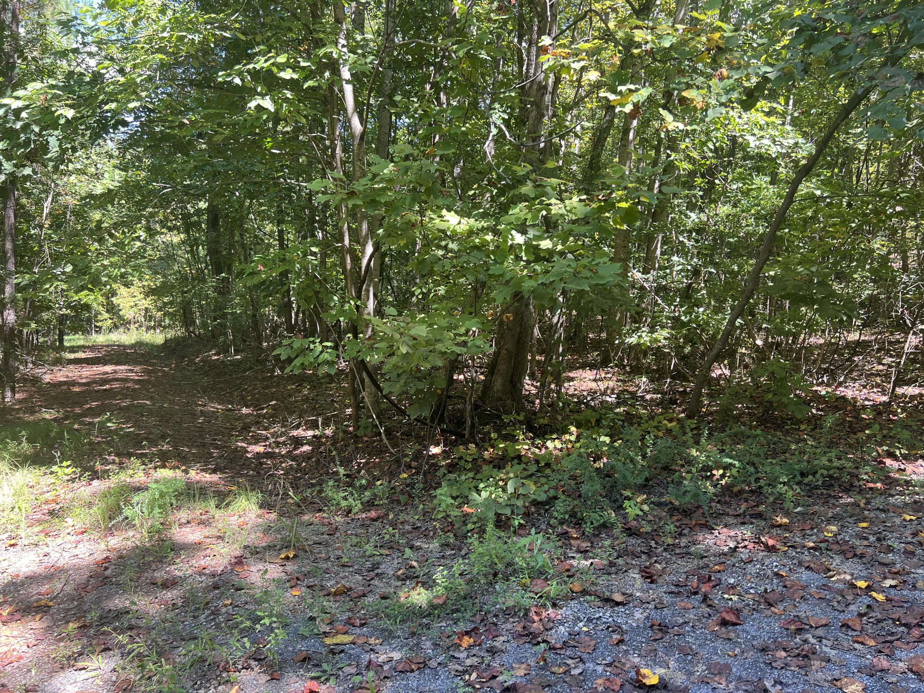 Property Photo: 00 Lower River Road TN 37322