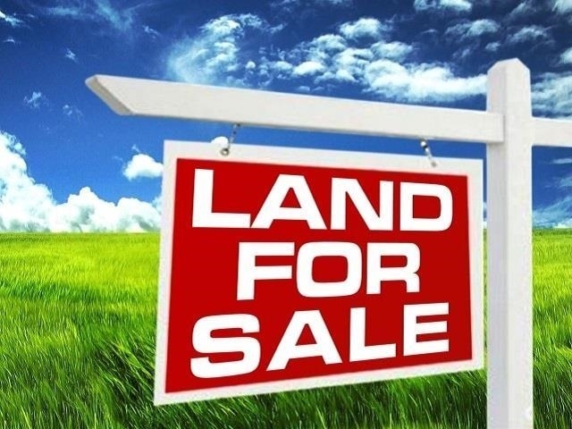 Property Photo: 6295 Hwy 105 TX 77708