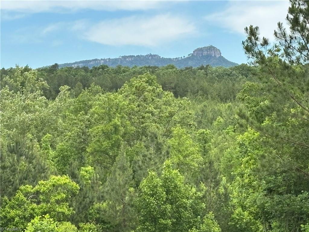 Property Photo: 00 Caudle Road NC 27043