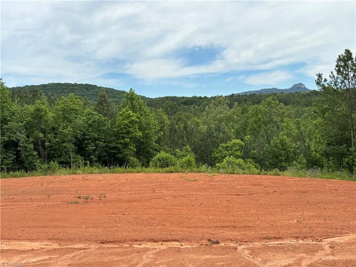 Property Photo: 00 Caudle Road NC 27043